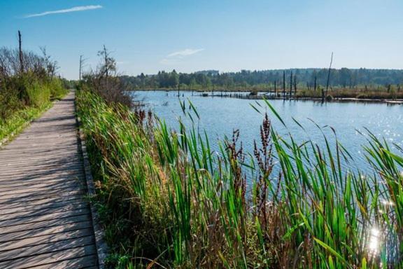 My Home Zittauer Strasse 7 Філлінген-Швеннінген Екстер'єр фото